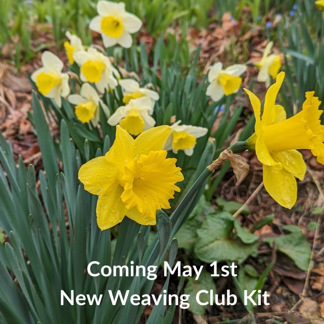 New Weaving Club Kit Coming May 1st.

Stay tuned for details.

https://www.vermontweavingsupplies.com

 #vermontweavingsupplies #vermontweavingclubs #handwoven #weaversoftheworld #weaversofinstgram #handweaver #handweaving #weavingpattern #weaversofi