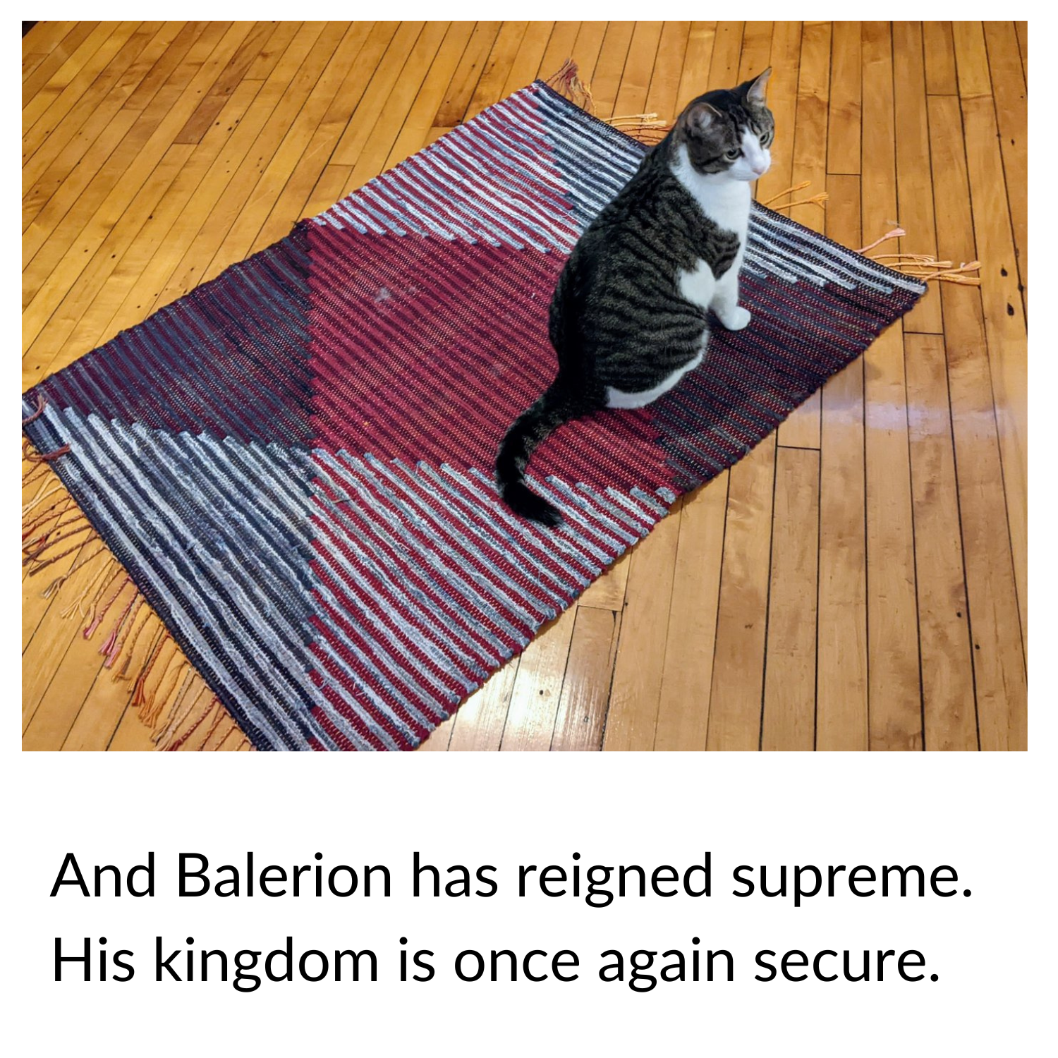 Balerion #7 (1).png