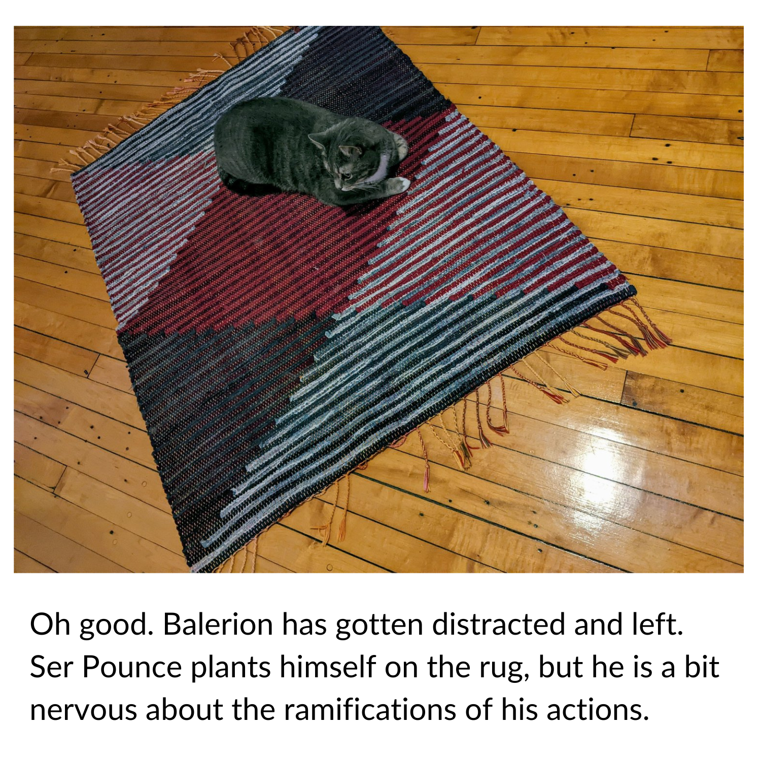 Balerion #3.png