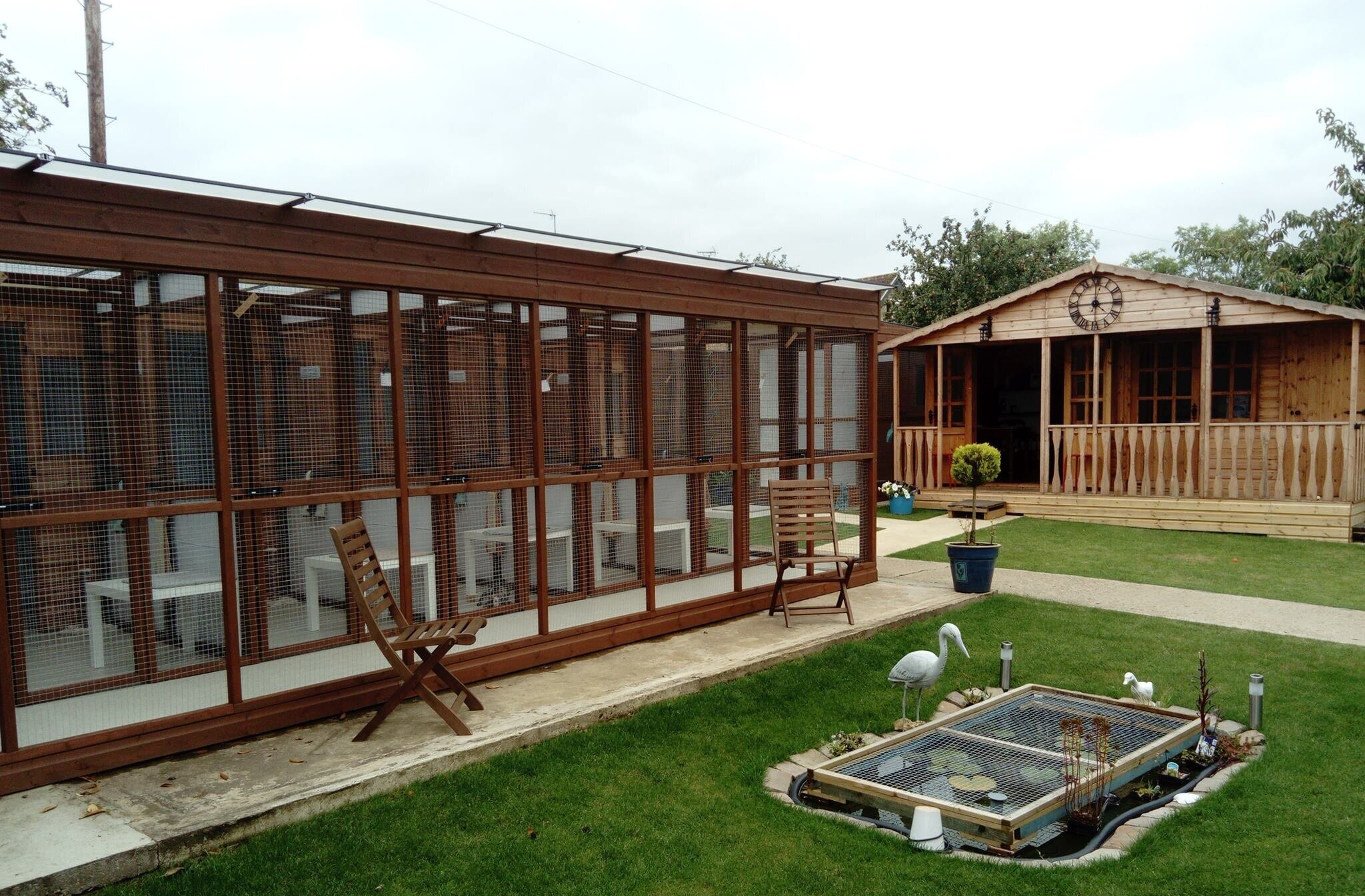 Cat Boarding Service — Brackley Cattery