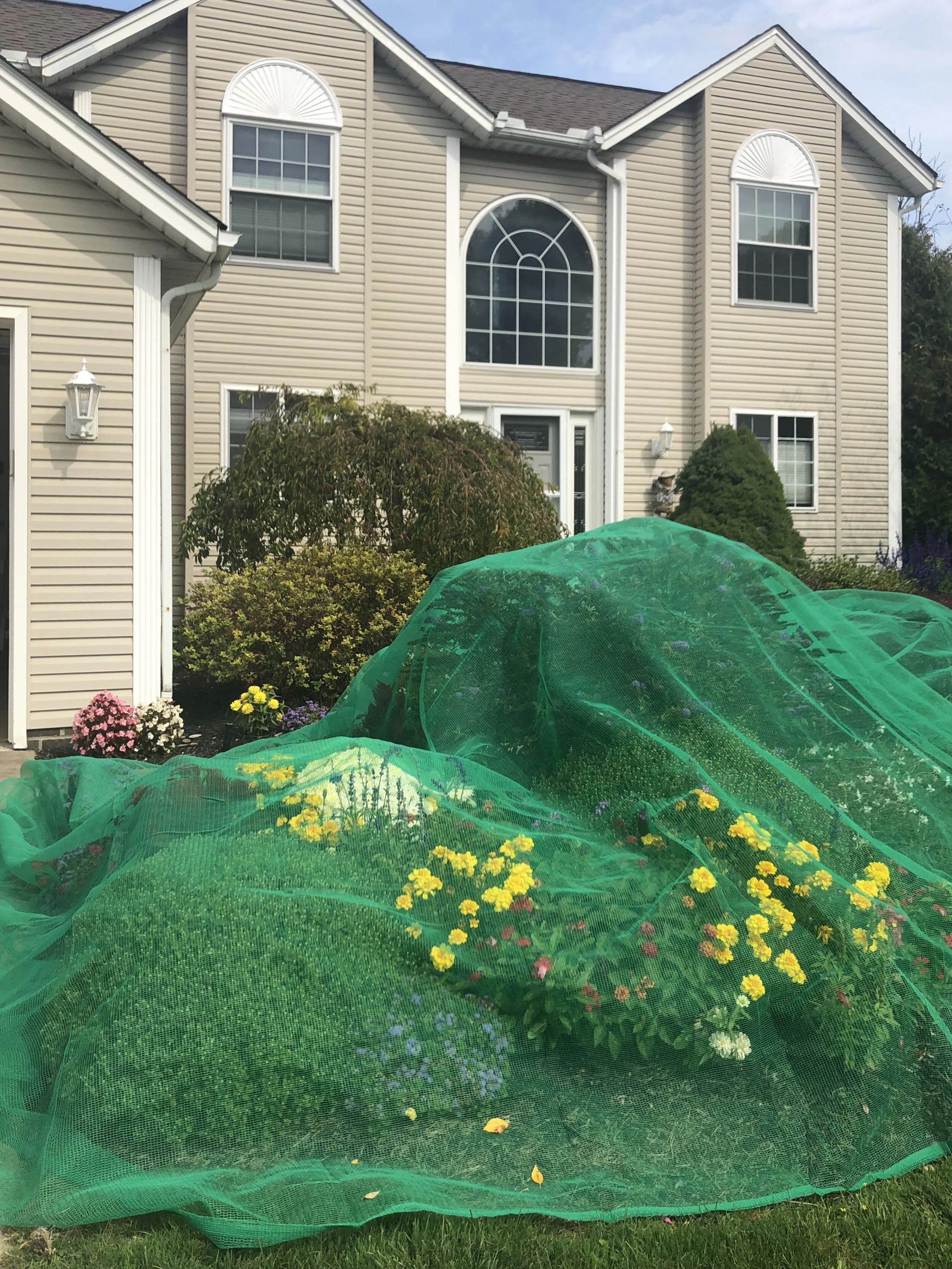 Photos — No Rake Nets