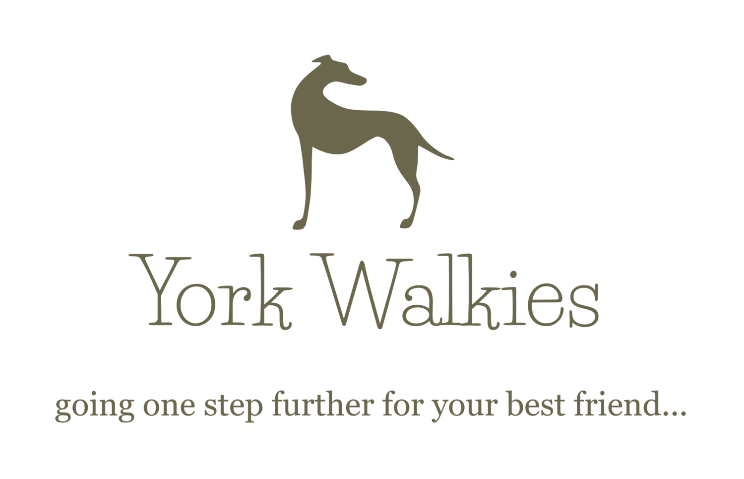 dog walker York Acomb Holgate Poppleton Rawcliffe 