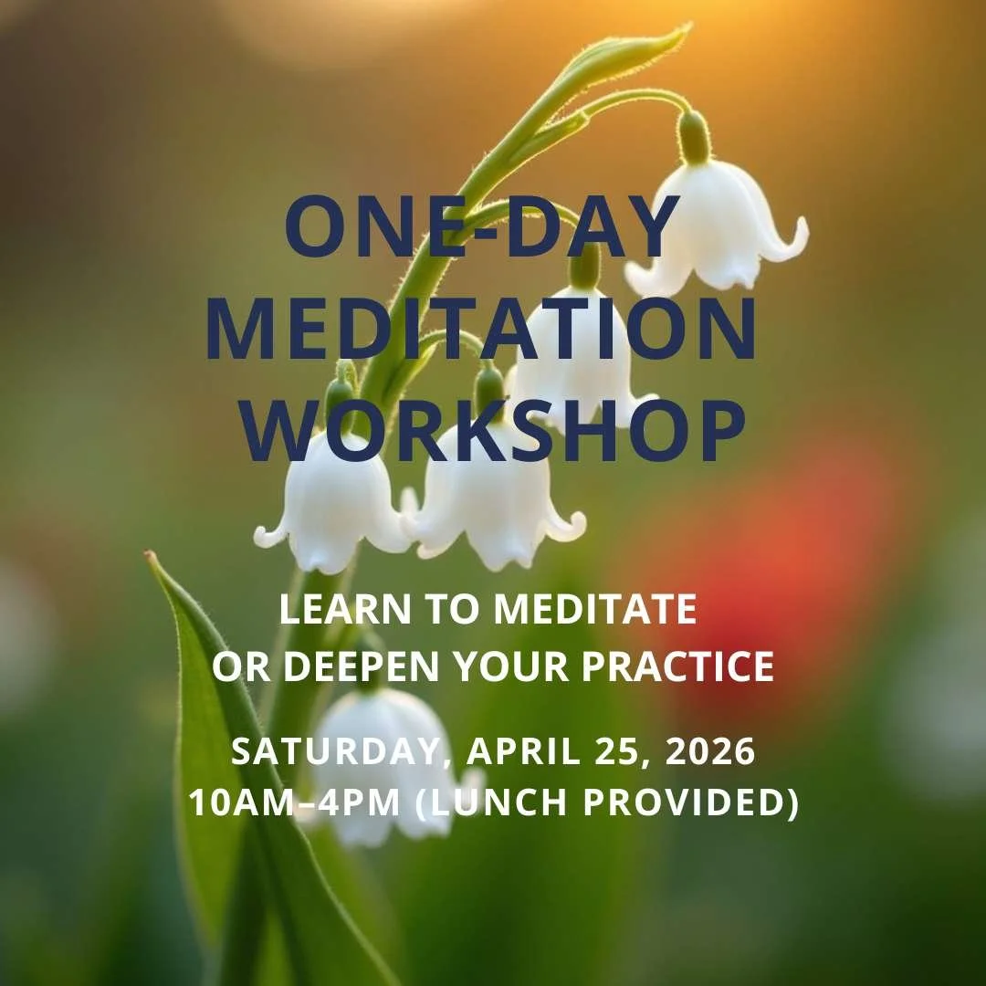 One-Day Meditation Workshop 