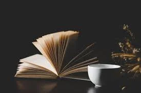 NEW BOOK STUDY BEGINNING – 10-11:15am, Bible Study 10am