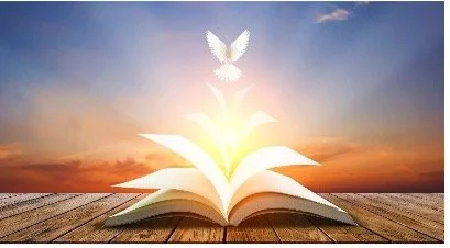 Book Study 10am, Sandwich Making 2pm, Bible Study 7pm