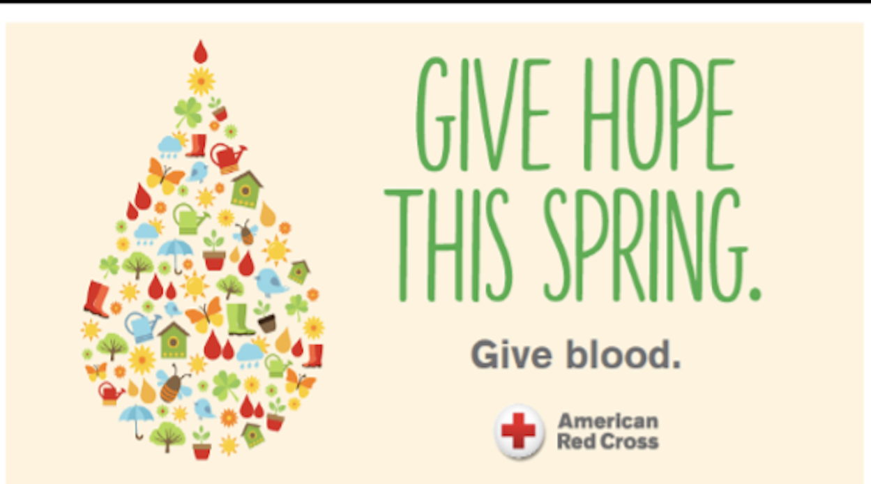BLOOD DRIVE: 8am to 1pm in the Parish Center Community Room; Dedication of our SOLAR PANELS after each Mass