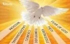 Feast of Pentecost