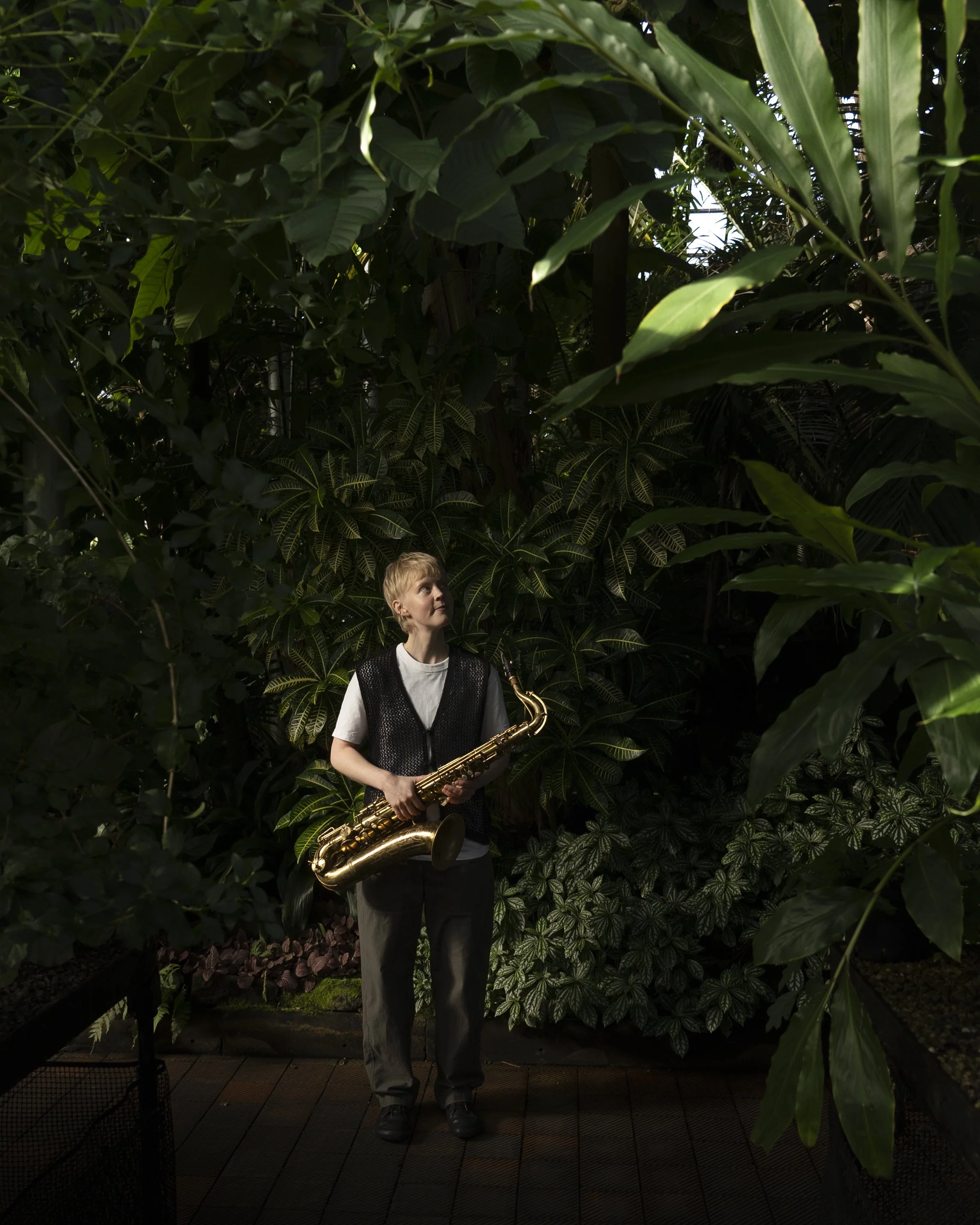 Harben Kay Quartet