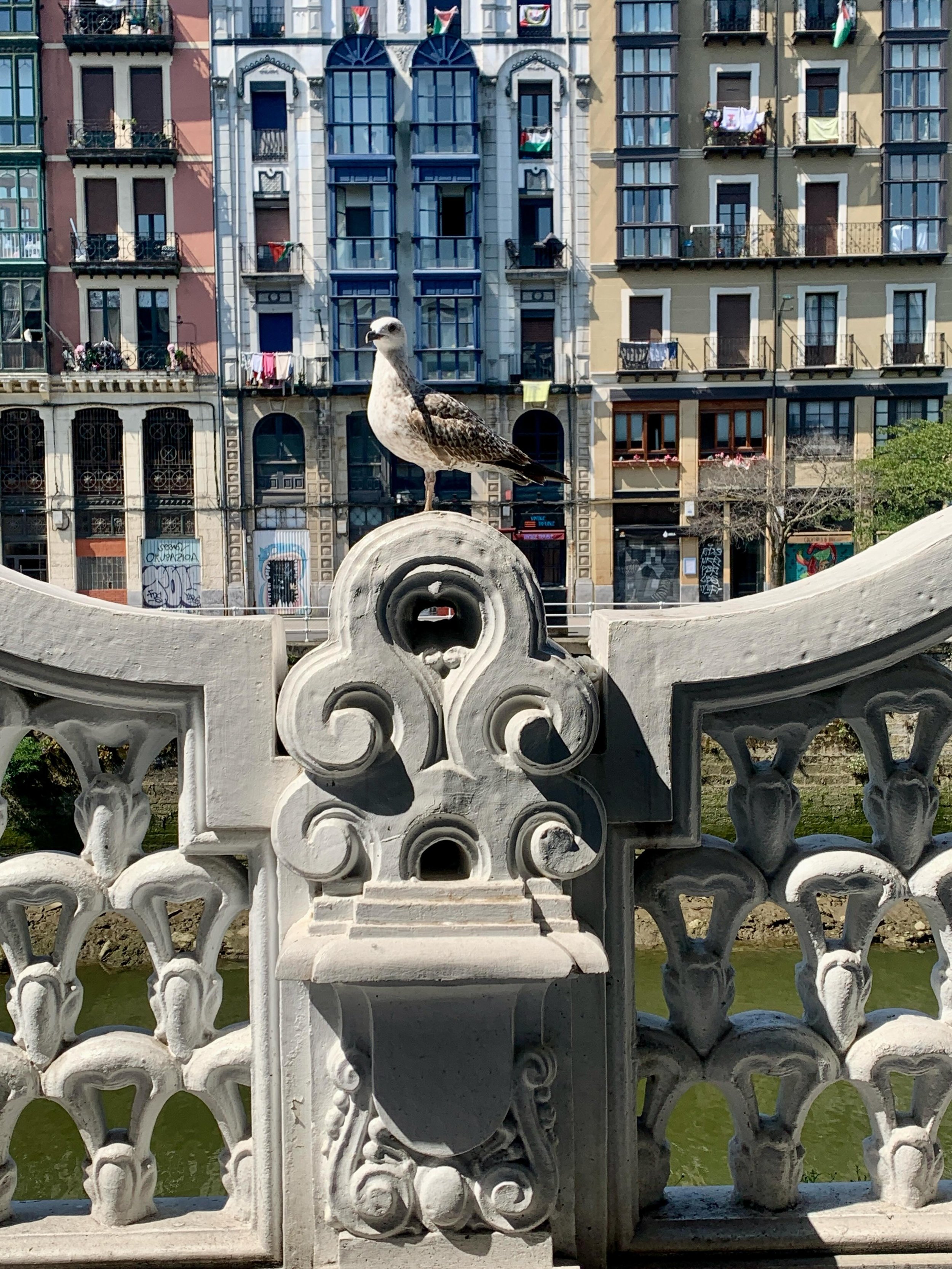 Basque art, adventures &amp; delights. Travel and curiosity has a unique way of helping me to exhale 🐳