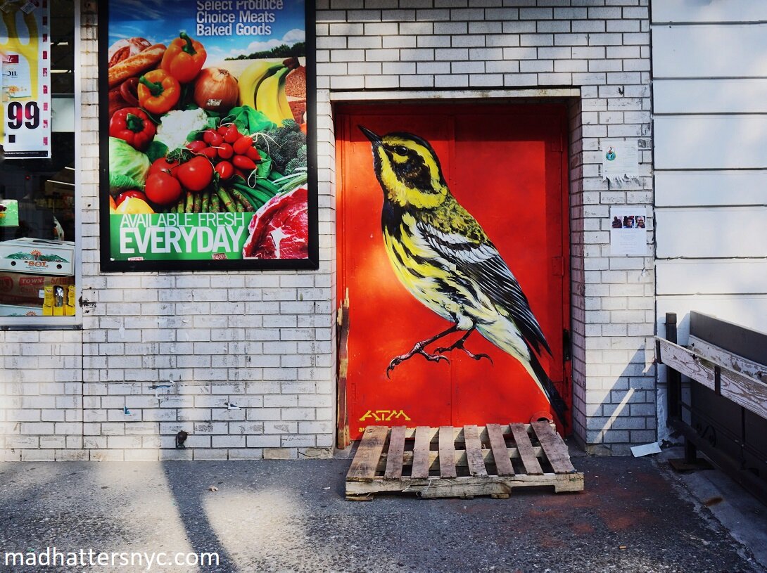 Mural of Townsend's Warbler by ATM (Instagram: @atmstreetart) for the Audubon Mural Project