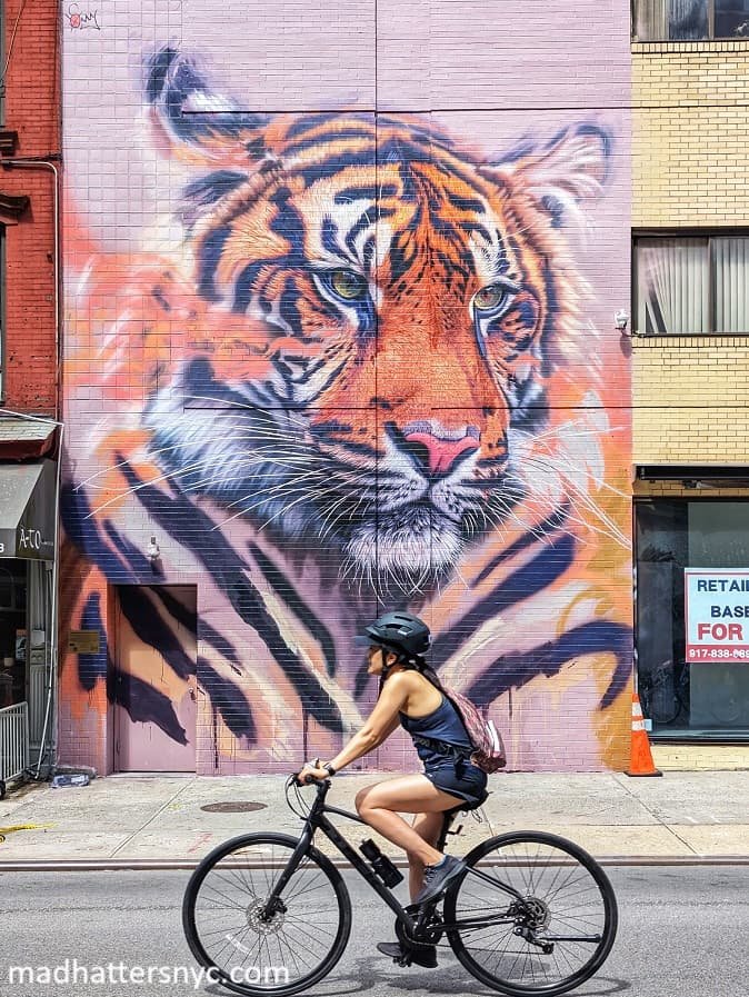 Tiger Street Art Mural on Lafayette St. (SoHo, NYC) The L.I.S.A.