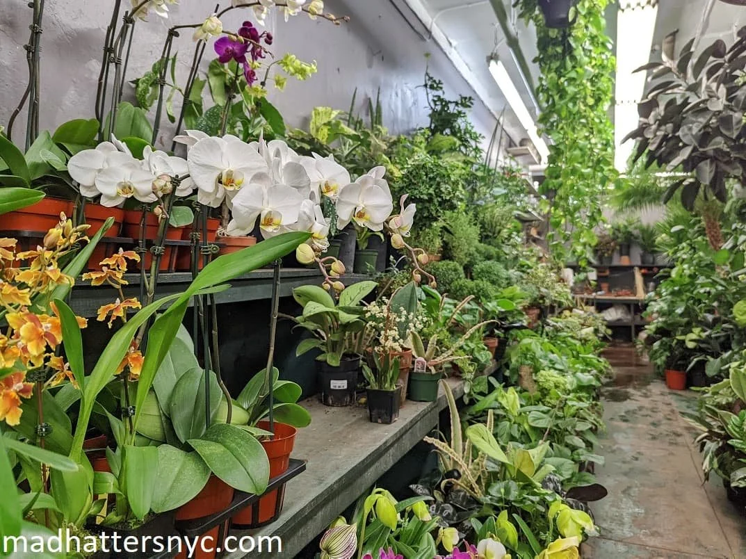 26 Fun Ways to Explore NYC’s Cool Chelsea Neighborhood — Mad Hatters NYC