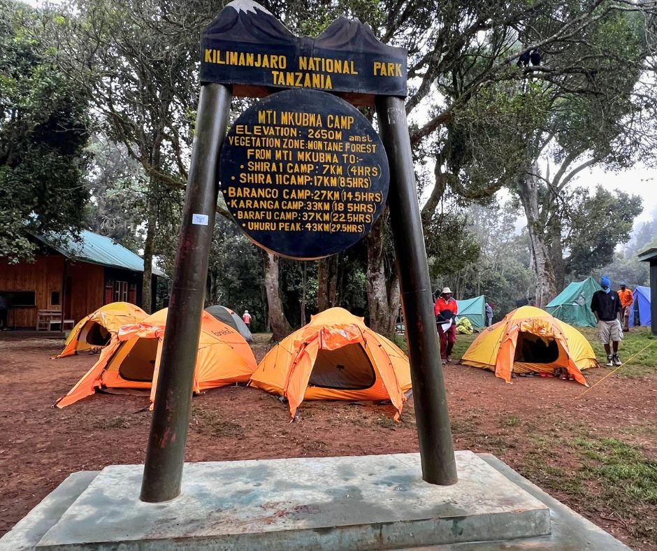 Mti Mkubwa Camp Kilimanjaro National Park.jpg