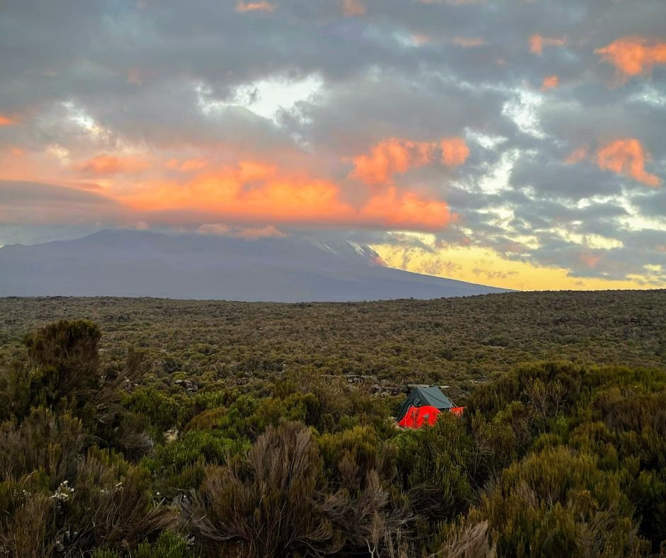Sunset View of Kilimanjaro.jpg