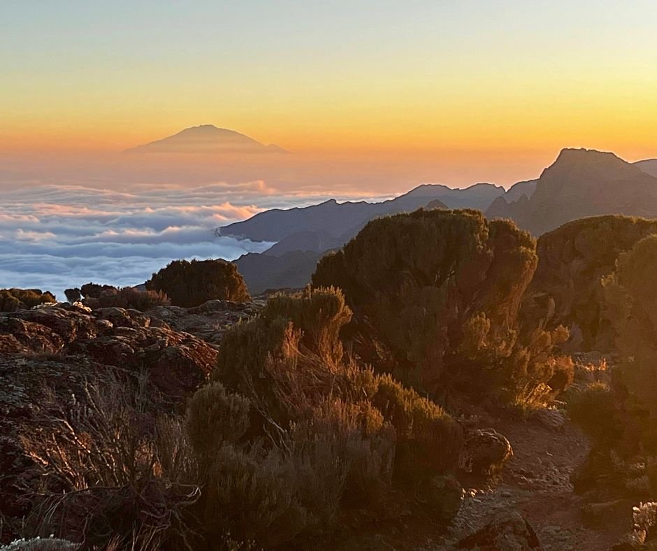 Sunset On Kilimanjaro.jpg