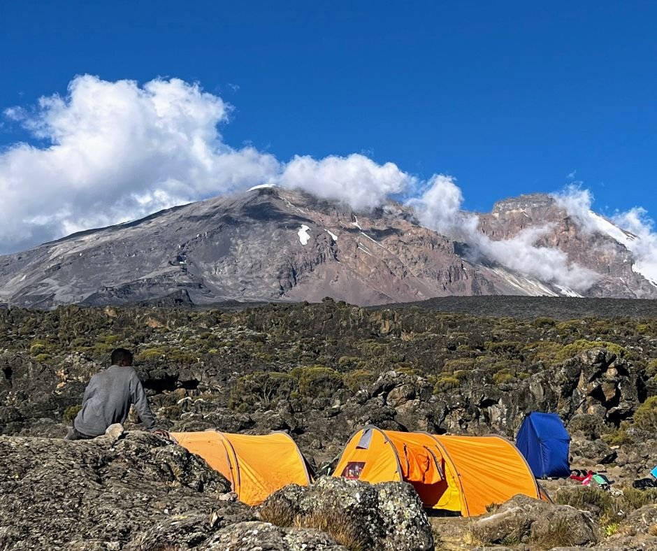 View Of Kilimanjaro From Shira 2 Camp.jpg