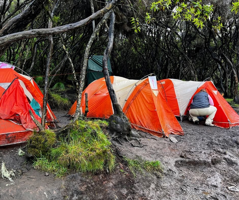 Tents At Mweka Camp.jpg