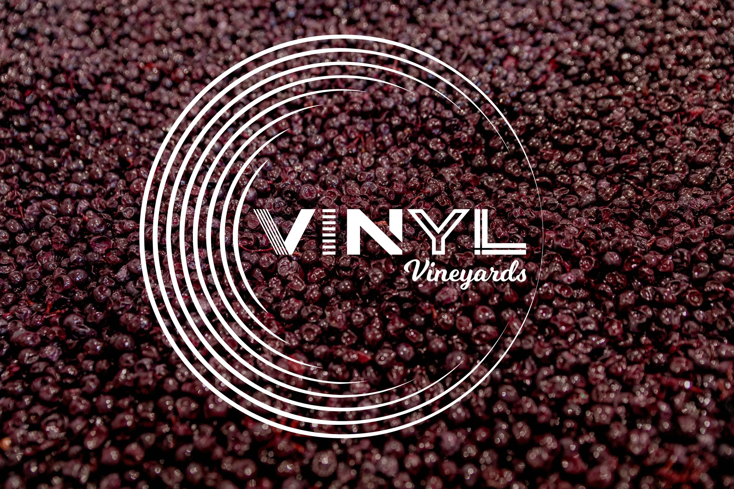 Vinyl Vineyards Wine, Vacation Rentals, Glamping