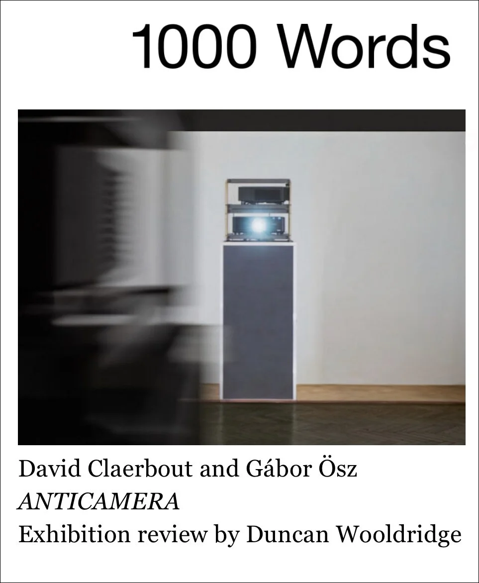 An Exhibition Review of ANTICAMERA: David Claerbout and Gábor Ösz at the Capa Center, Budapest, 1000 Words Magazine, Issue 34. April 2022