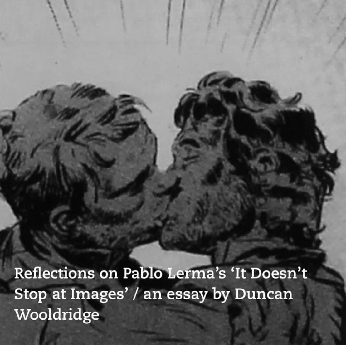 Reflections on Pablo Lerma's 'It Doesn't Stop at Images'. Photomonitor, June 2021. Commissioned by Fotodok Utrecht and Photomonitor