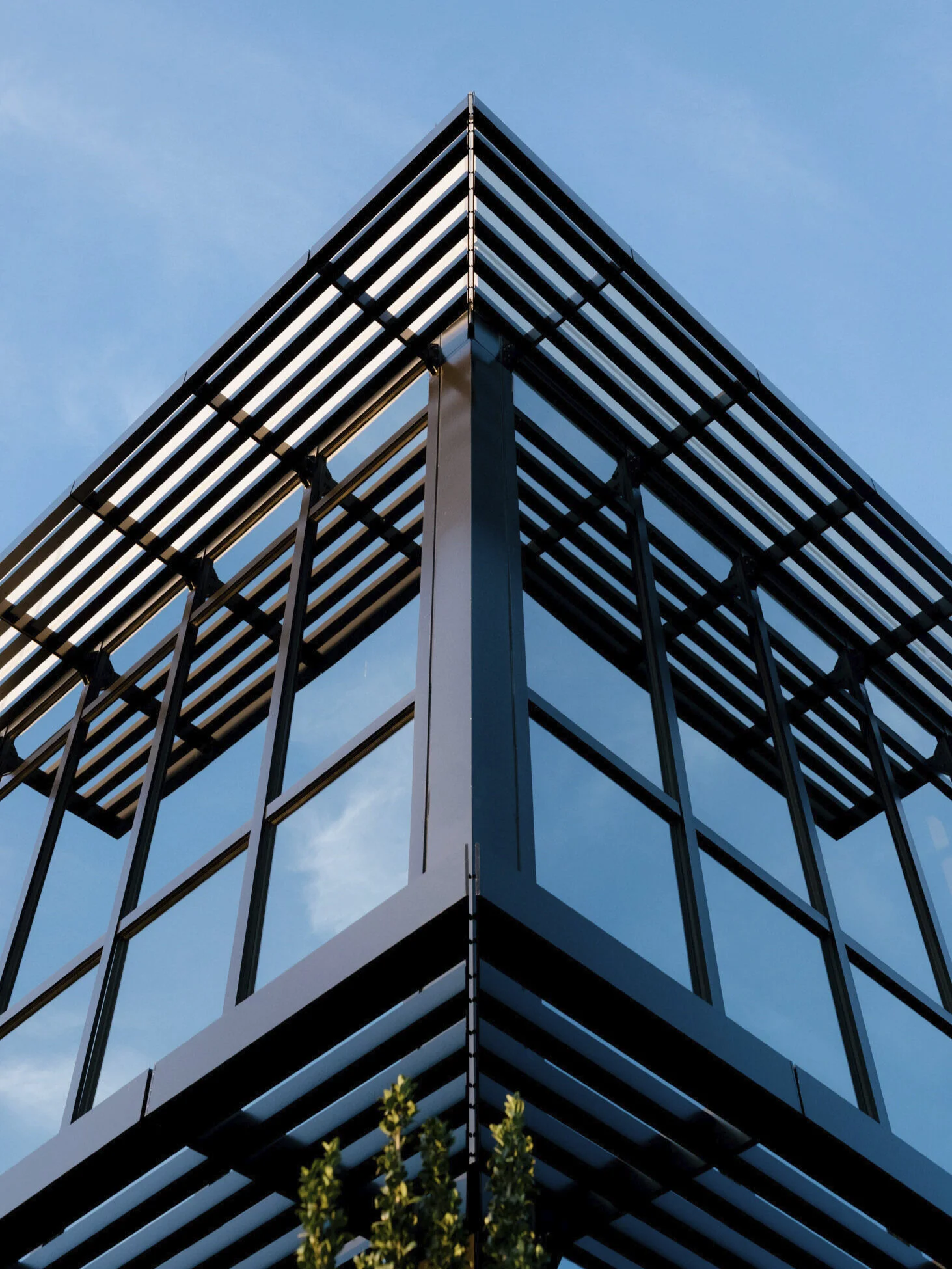 Bottom+Bay+Glass-web+res48.jpg