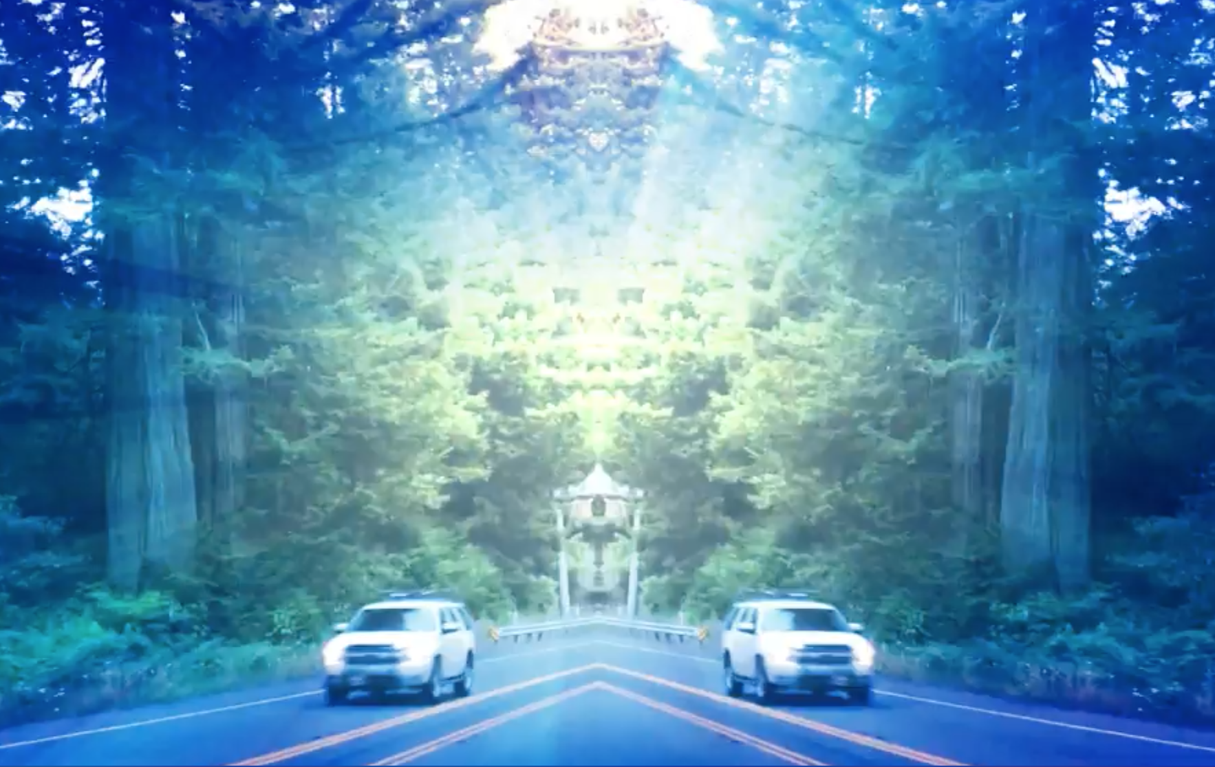 immersive install, san francisco, 2022