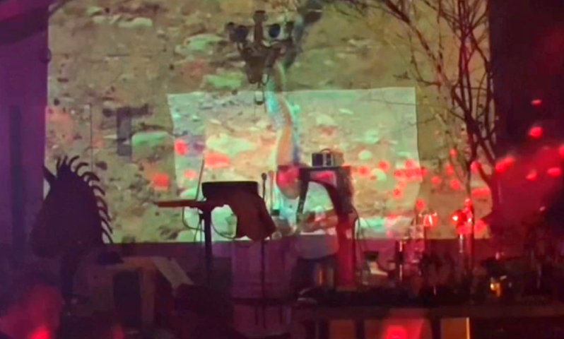 Immersive install, Los Angeles, 2025