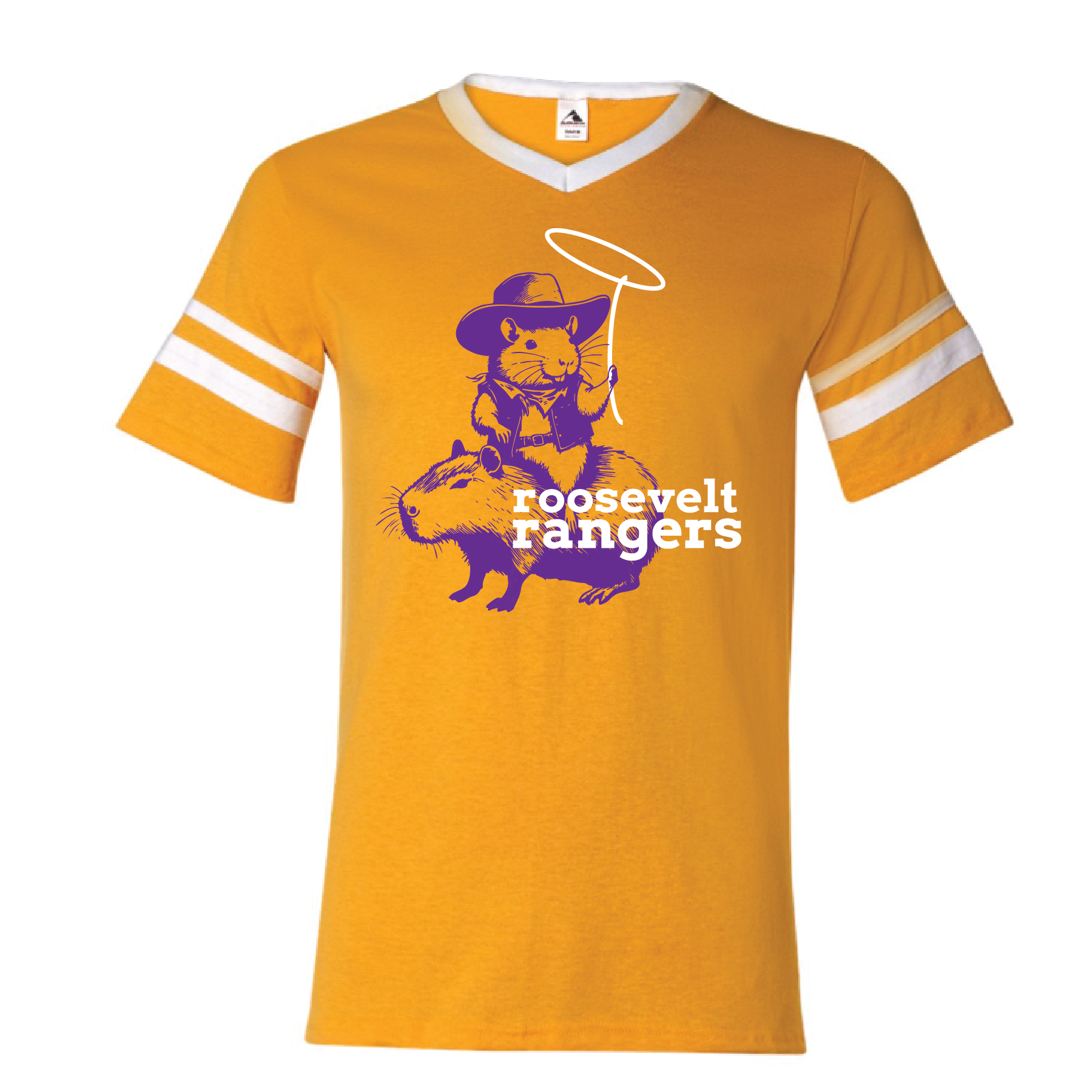Hamster Gold Vintage V-01.png