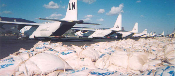 Getting Full on Fuul: Meditations on Policy and Impact