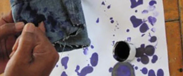 Asia’s Toothless Tiger: Ambivalence about Democracy in Indonesia