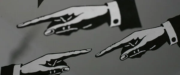 Not My Fault: How the Blame Game Shapes Public Institutions