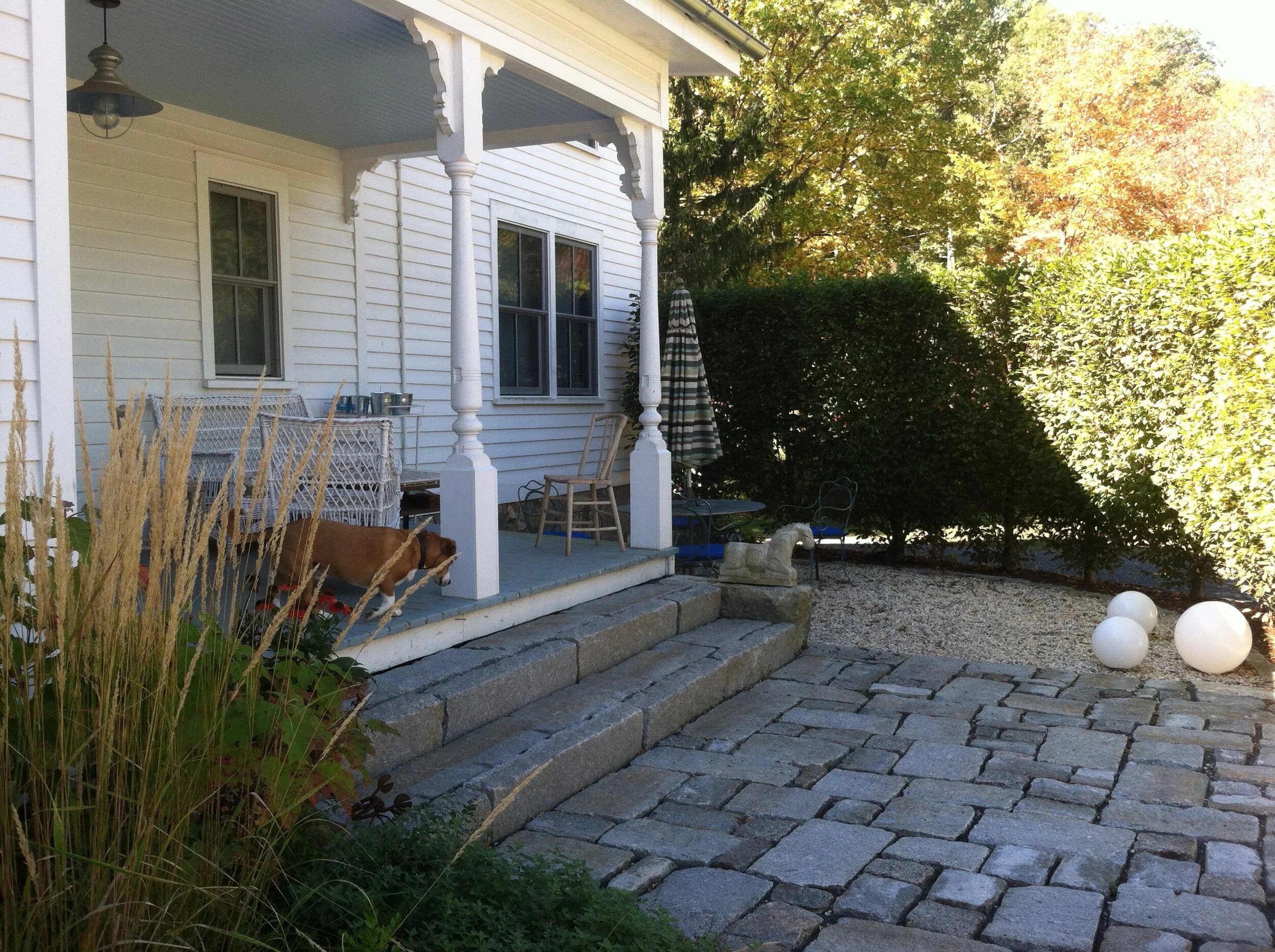 CT garden in progress