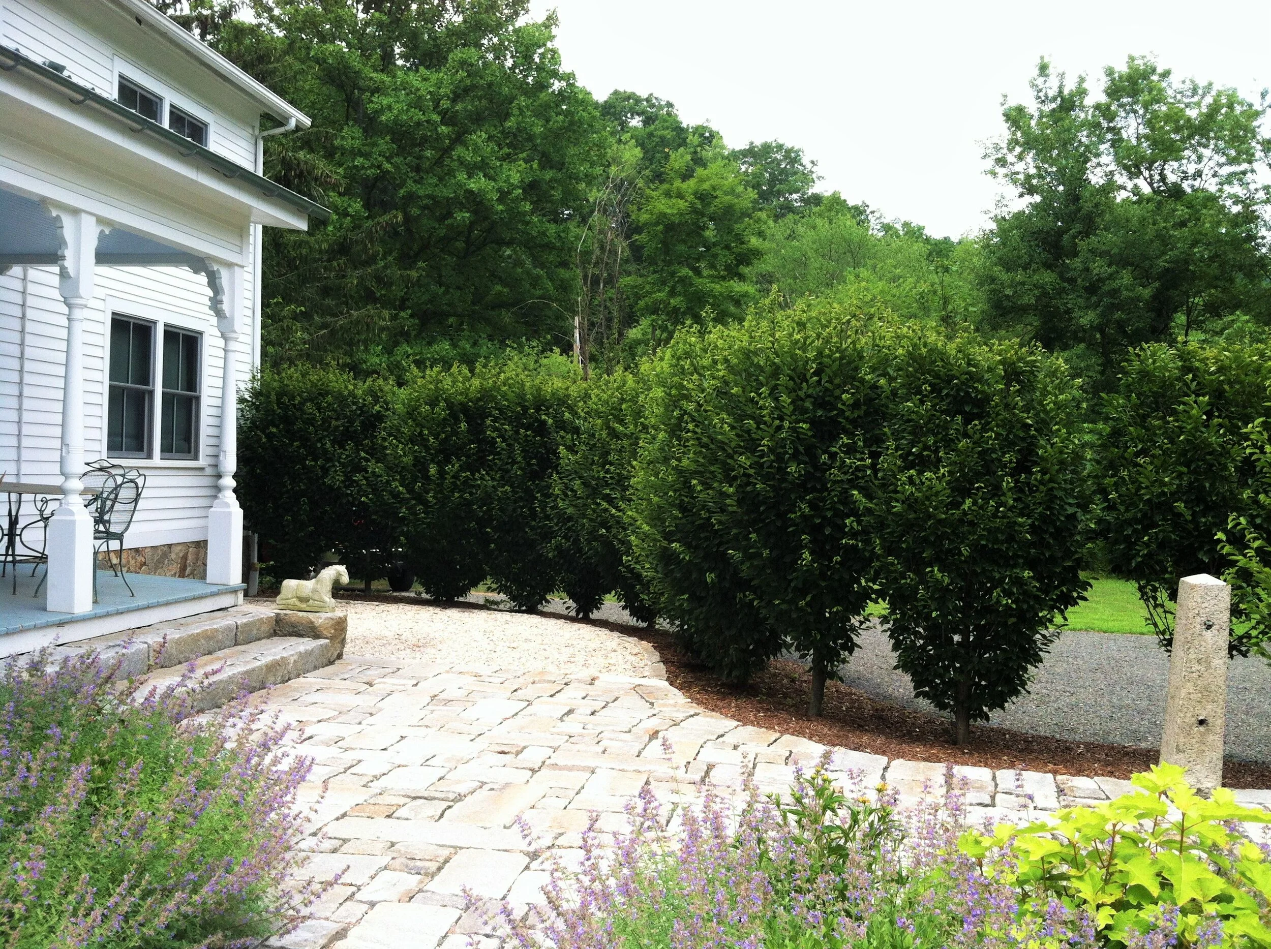 CT garden in progress