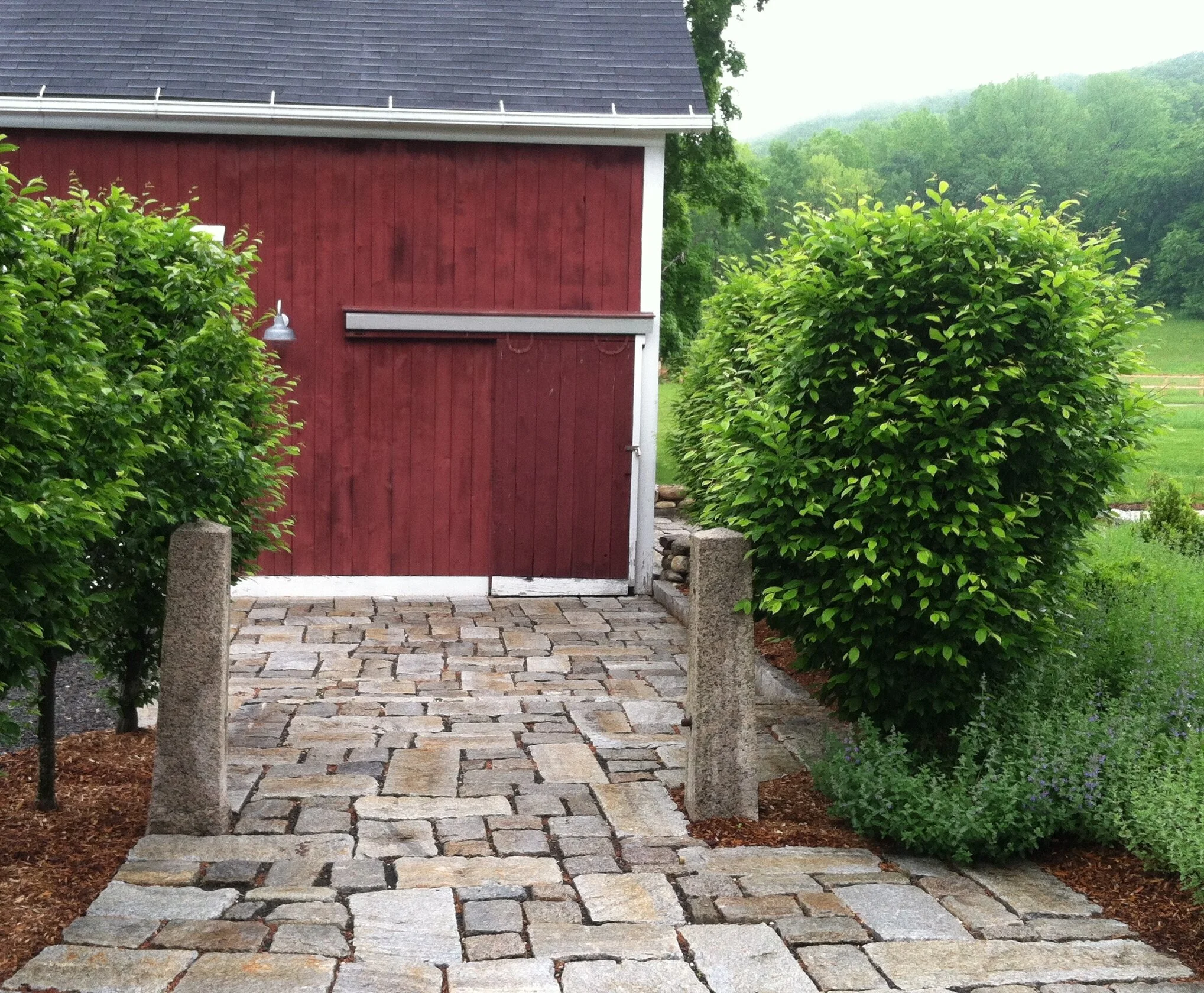 CT garden in progress