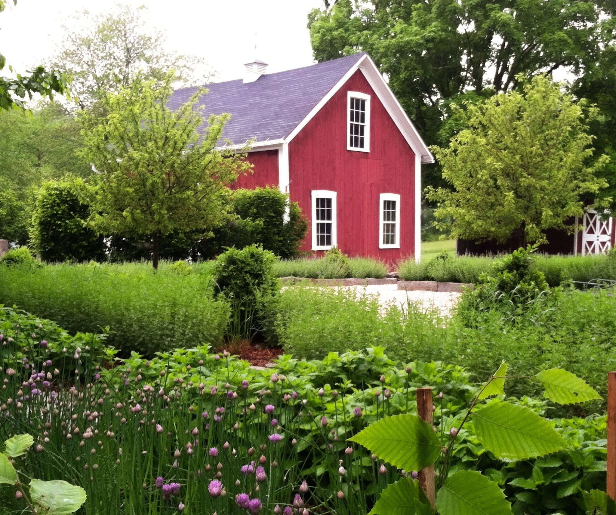 CT garden in progress 4.jpg