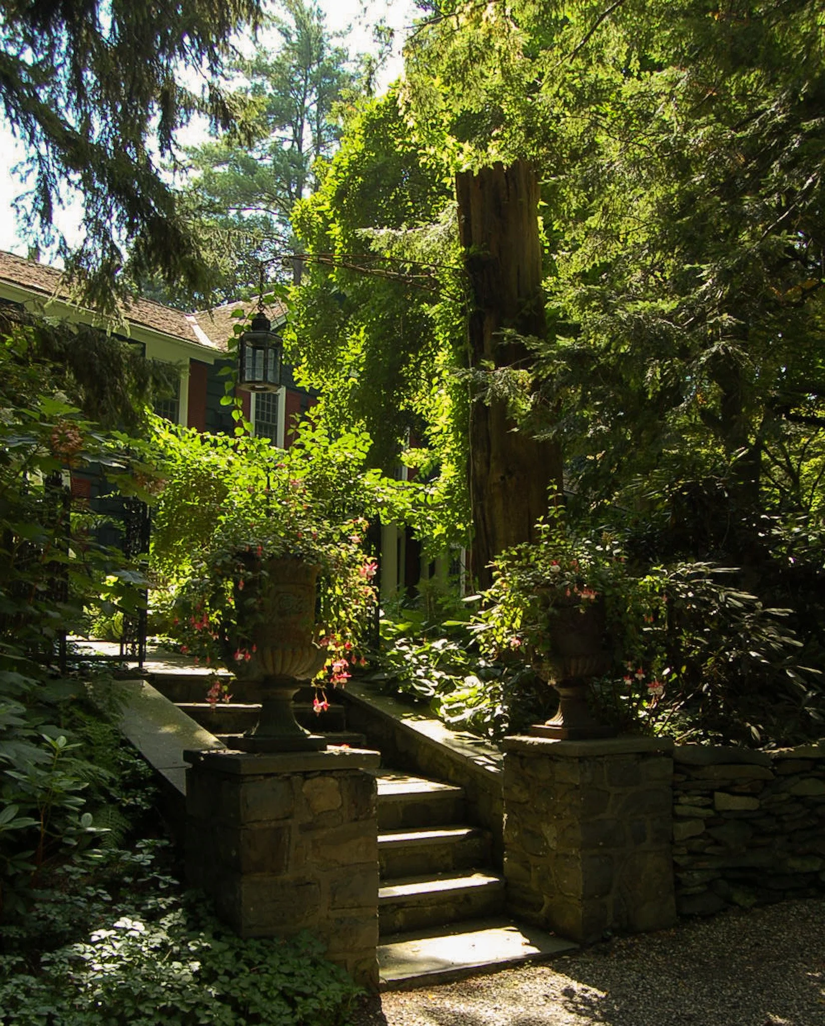 DSC_0022.JPG