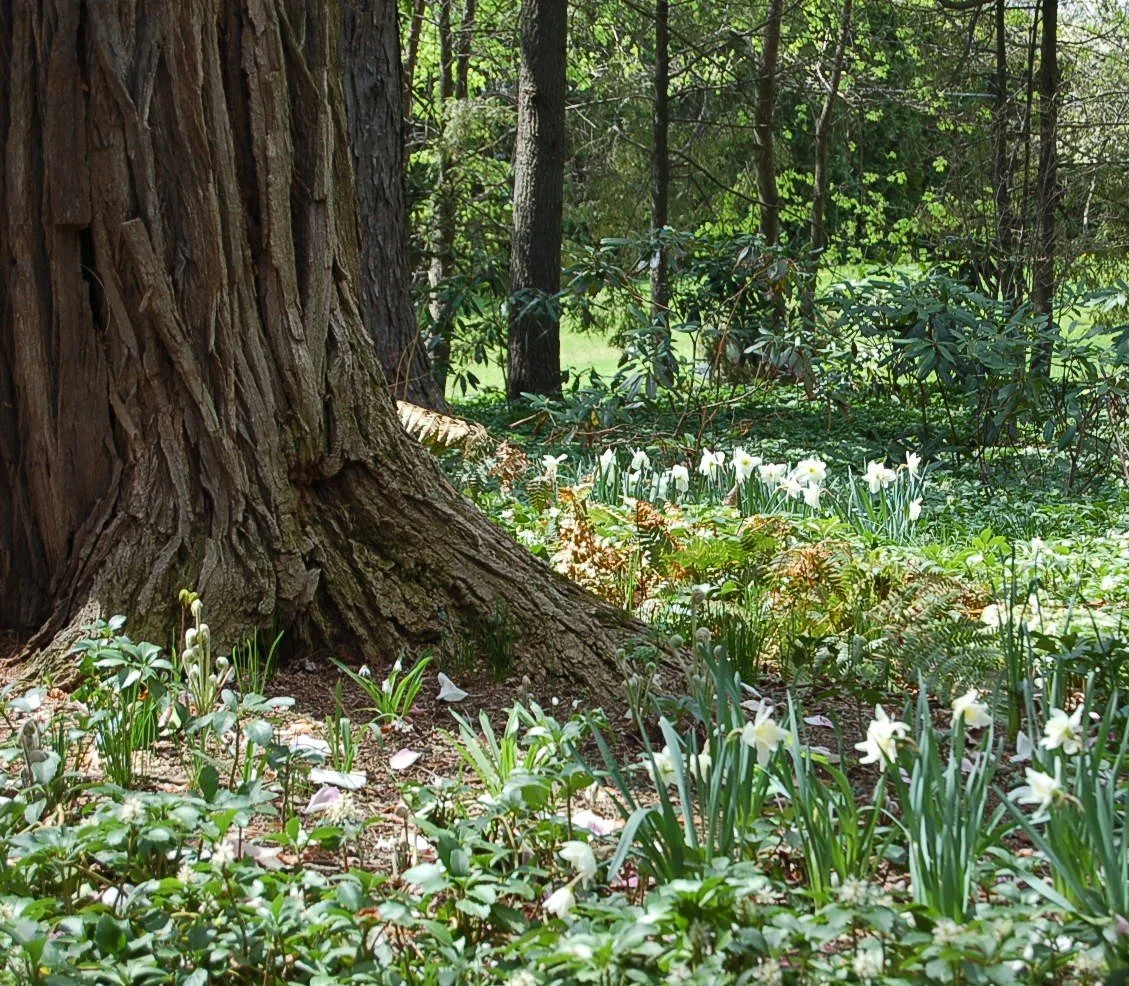 DSC_0034 - cropped.JPG