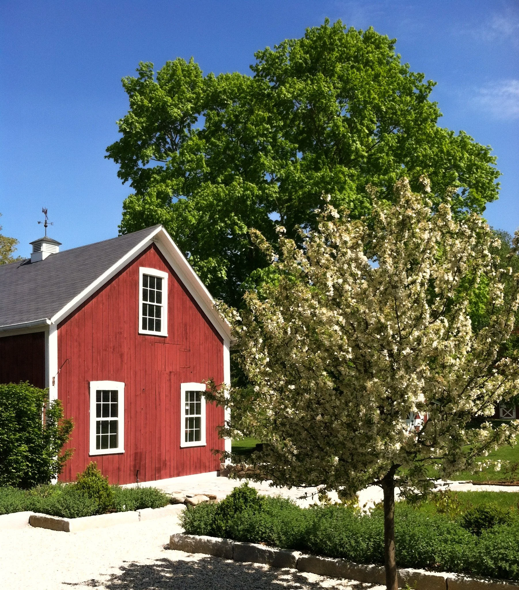 CT garden in progress.jpg