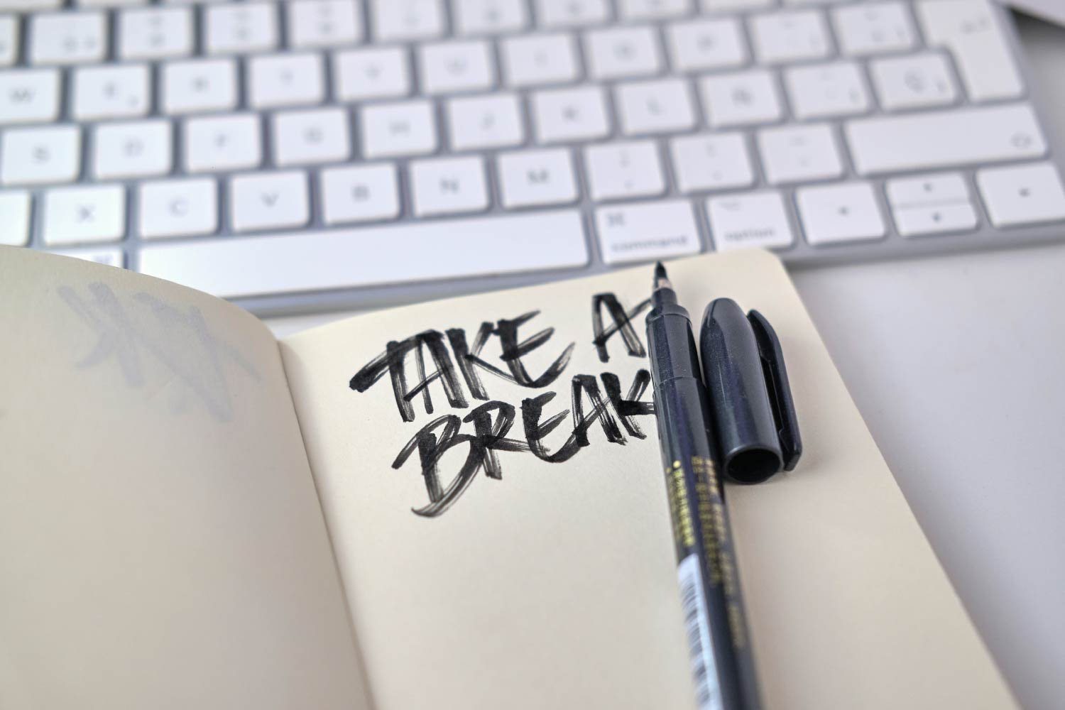 What the Pause Taught Me: Rebuilding with Intention