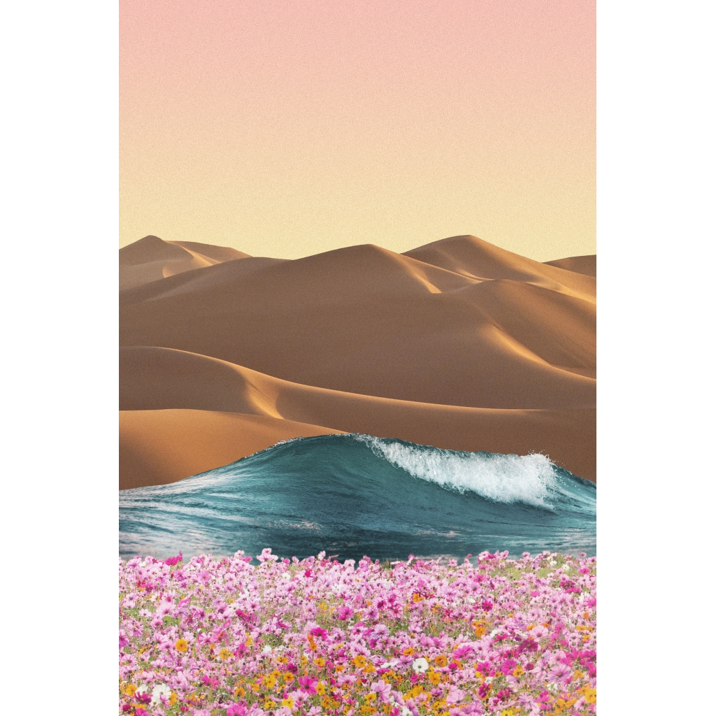 image_original_7215ee9c7d9dc229d2921a40e899ec5f.png