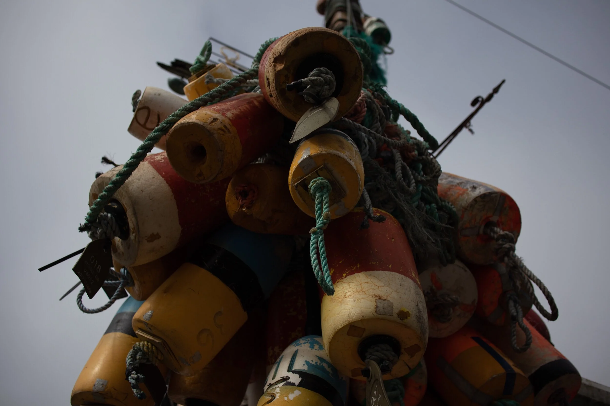 Taken with the Canon EOS M6 + Canon 22mm f/2 at ISO 100, f/3.2, 1/4000 (taken handheld against a bright hazy sky).