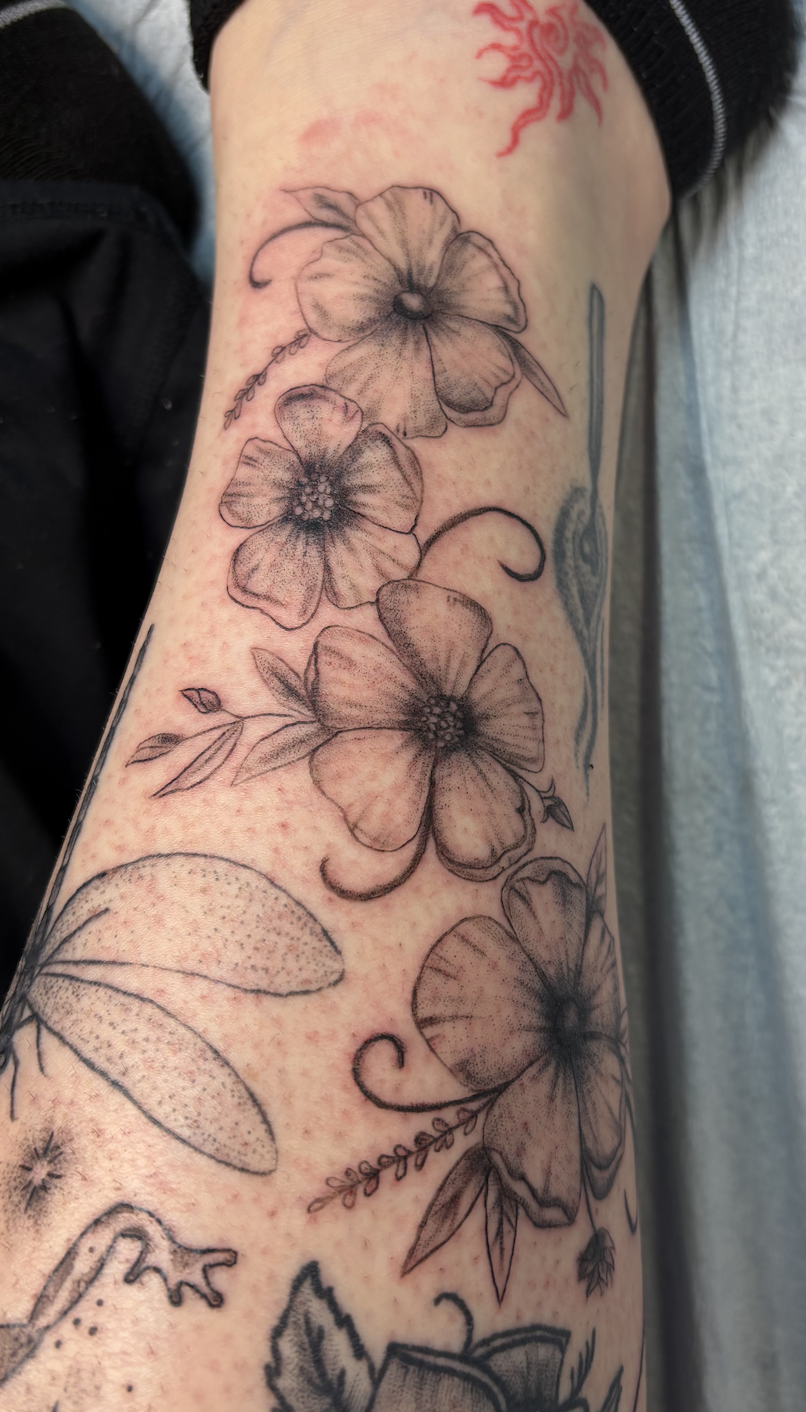 Screen Shot 2026-03-19 at 9.52.48 AM.png