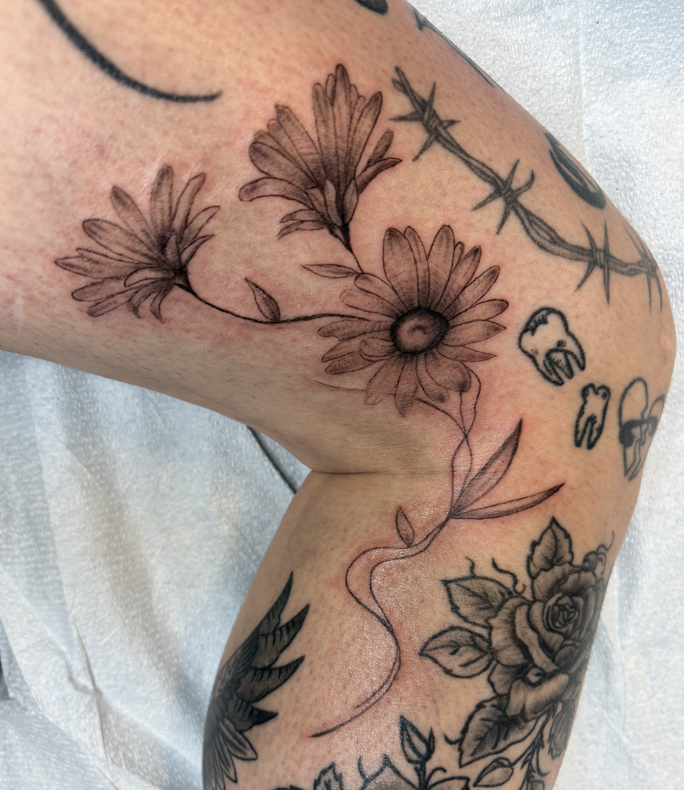 Screen Shot 2026-03-19 at 9.52.24 AM.png