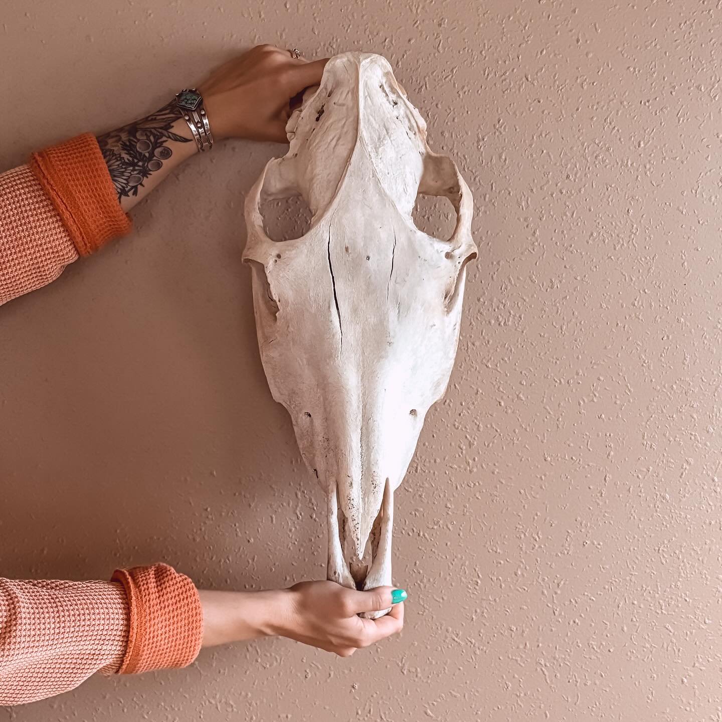 Oh&hellip; Just posting another teaser about my super secret project. Some of you know about it. For my birthday, my bestie @giddyup_ink bought us some beautiful skulls that&rsquo;ll be eventually be displayed for our super secret project 😆 🤘