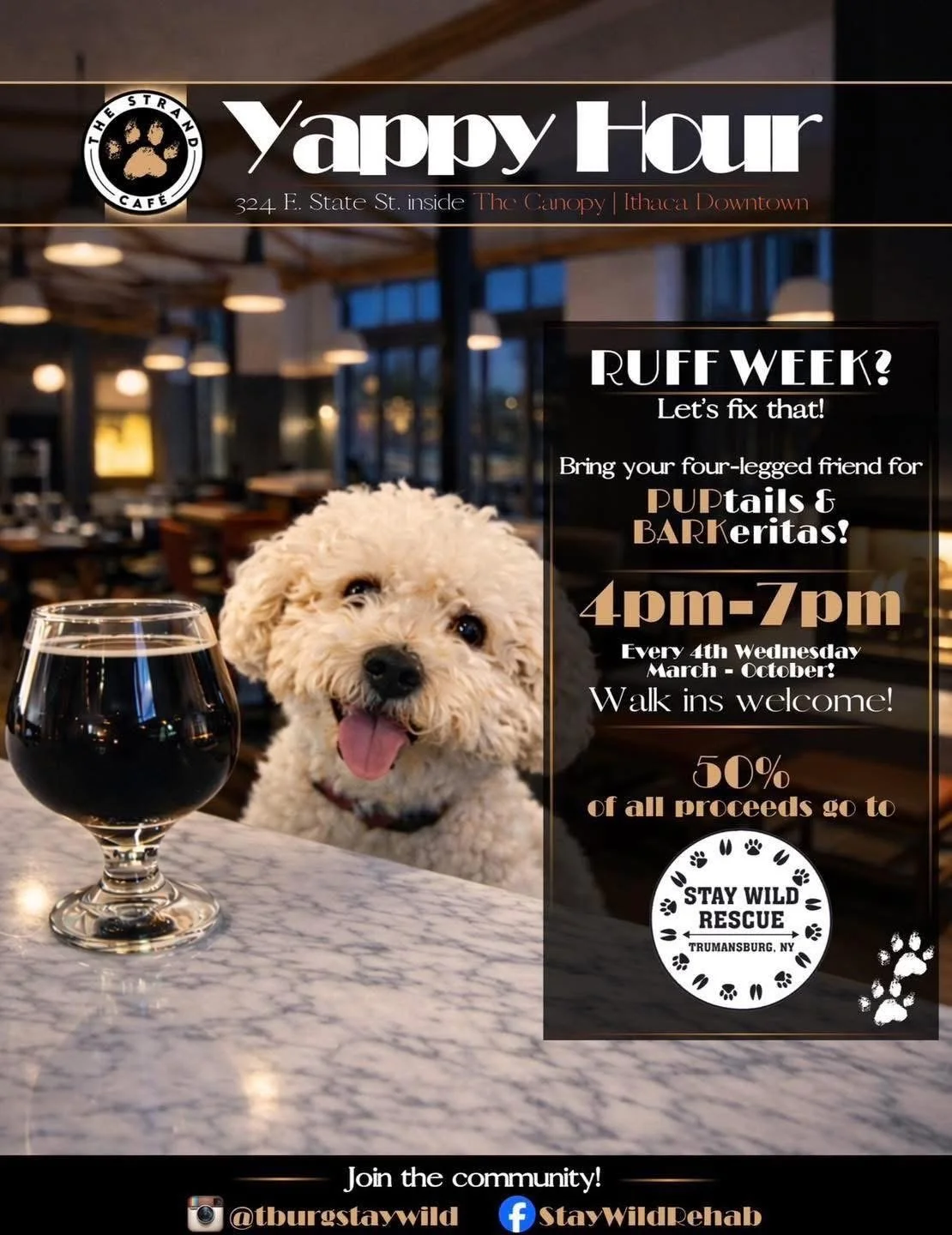 Yappy Hour at the Strand
