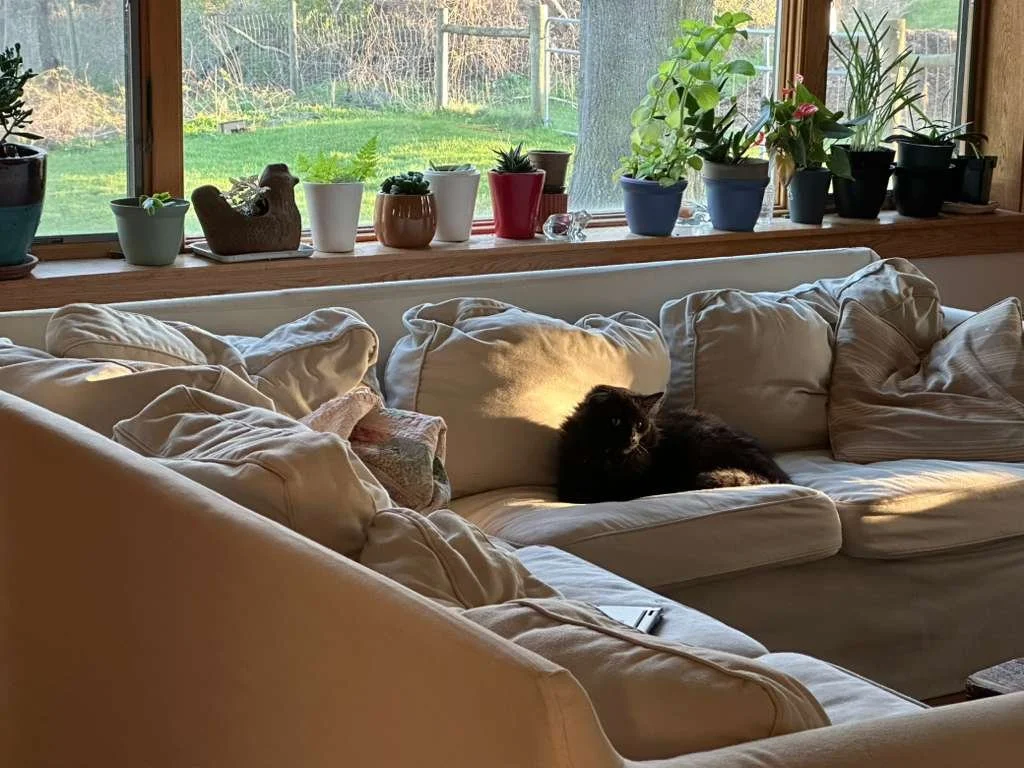 WhatsApp Image 2026-04-27 at 10.23.36 AM.jpeg