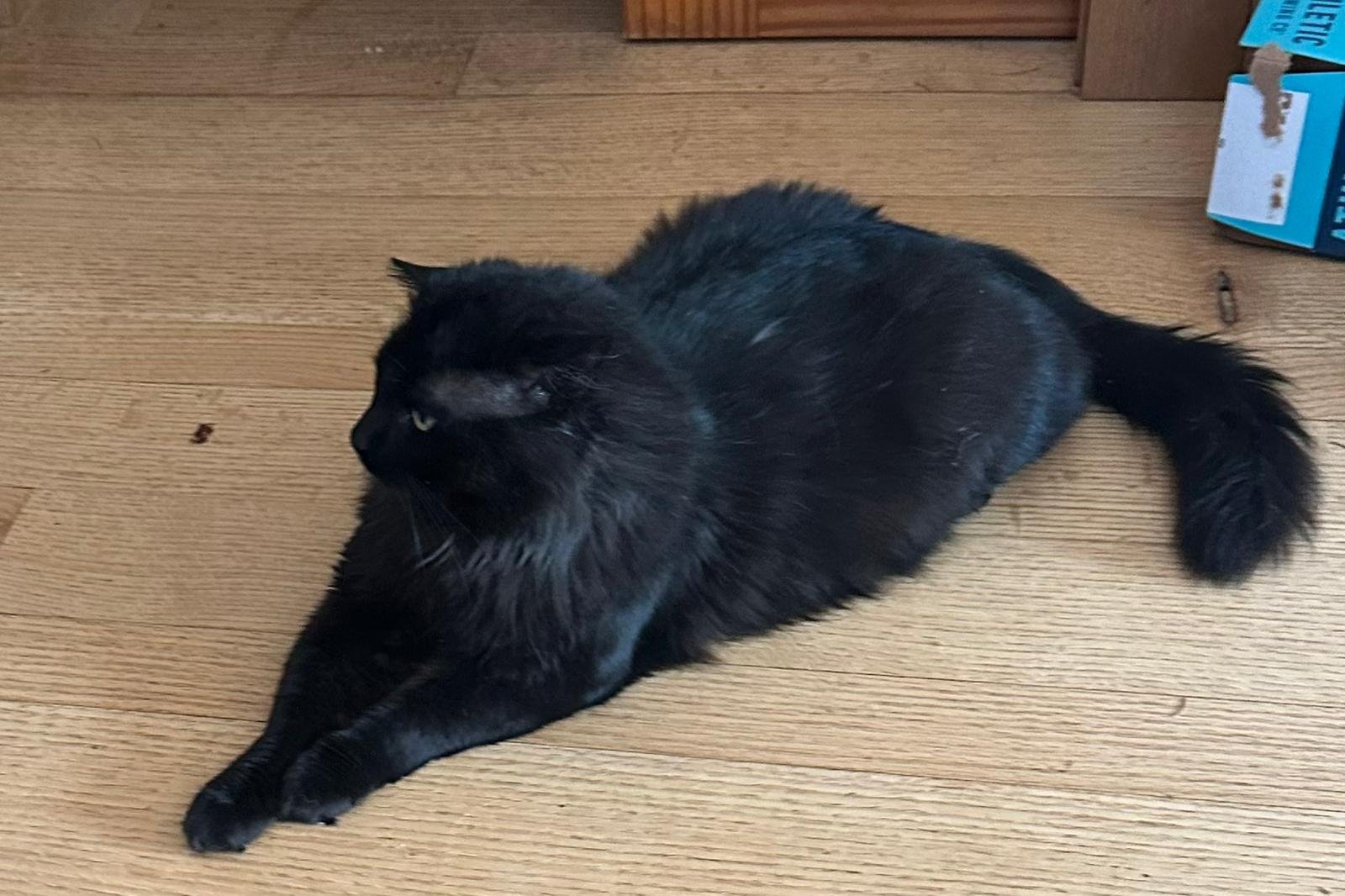 WhatsApp Image 2026-04-27 at 10.23.36 AM (1).jpeg