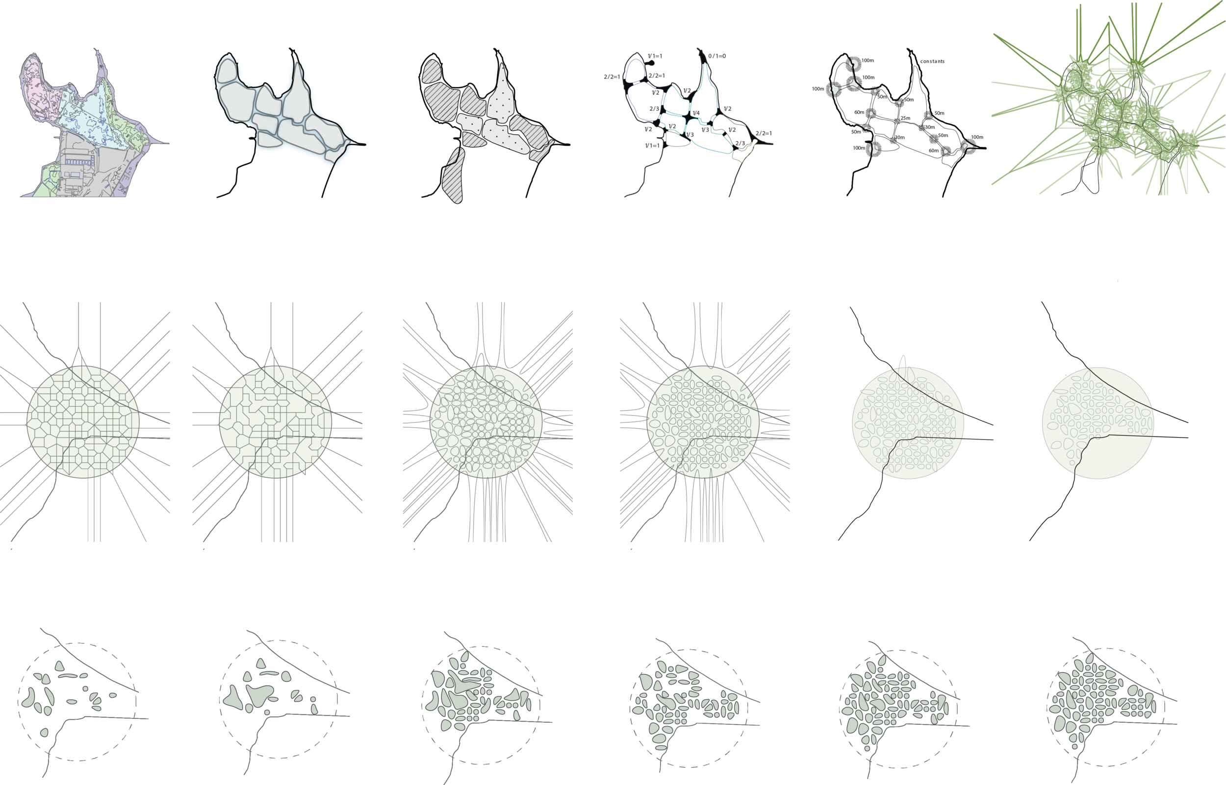 Site Analysis and Cell Cluster Formation
