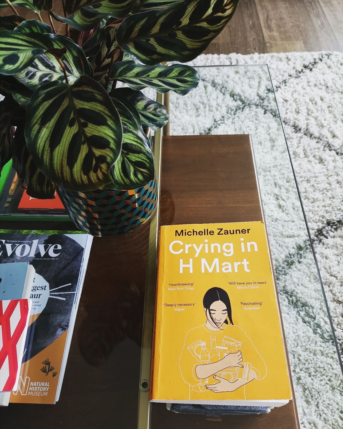 Book recommendation 📚🚨

Crying in H Mart by Michelle Zauner 

😥💔🇰🇷🇺🇸🍜🕊️

I read through this so quickly, and I'm usually a slow reader. A touching book, all about her grief, and the chapters and complexities of a mother-daughter relationshi