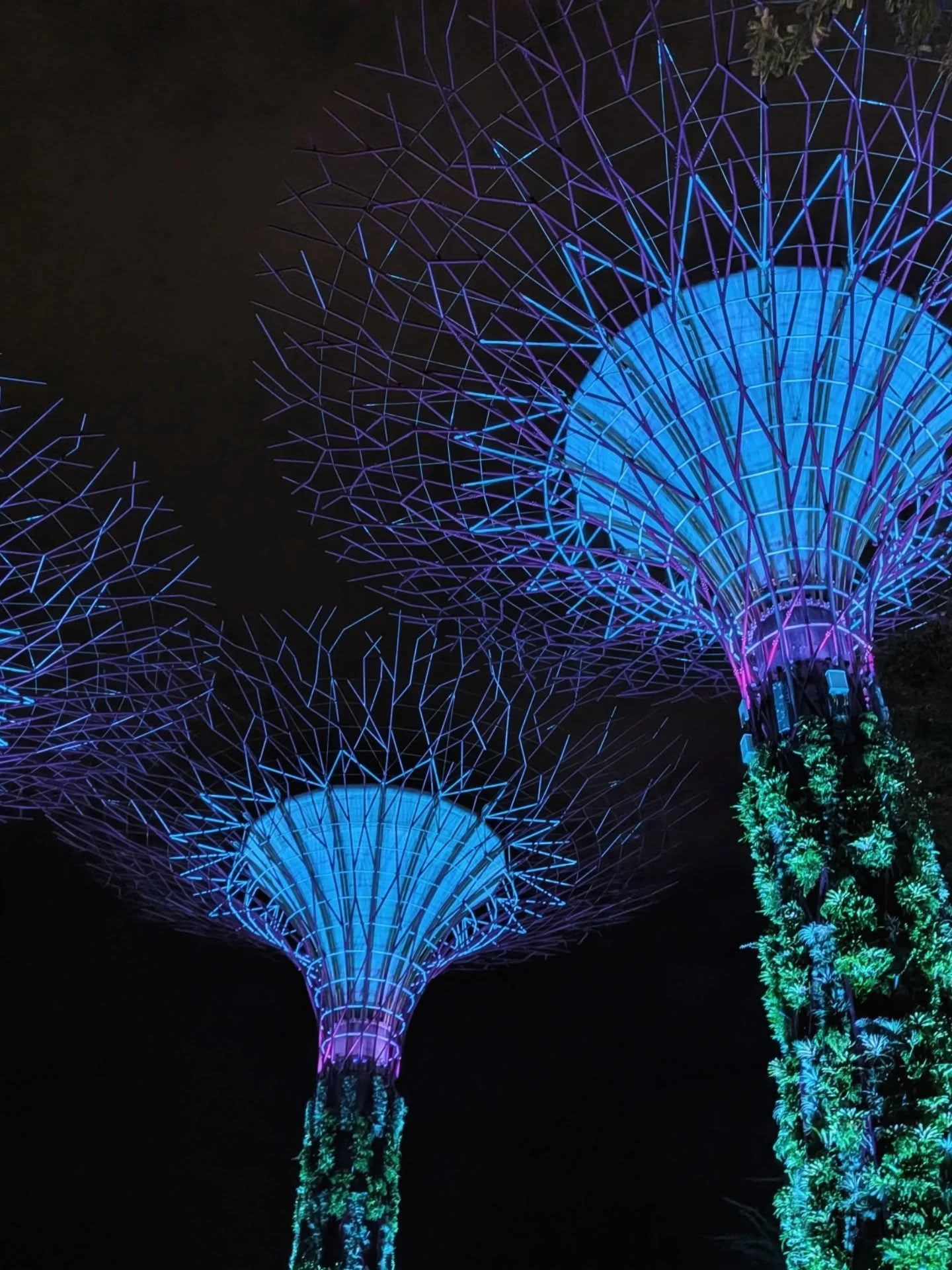 🌴🌃✨ Where Growth Meets Belonging

Part 2 of my trip to Asia! 🇸🇬

Singapore felt like stepping into the future and somehow feeling right at home. A city built on hard work and big dreams, yet grounded in family, shared tables, and late-night meals